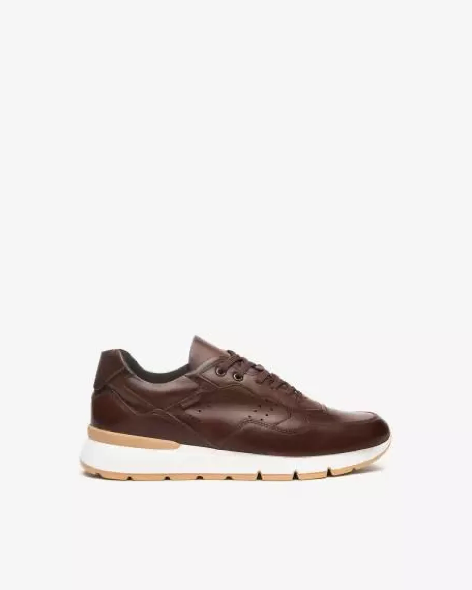 Nero Giardini Sneakers Uomo in Pelle Best