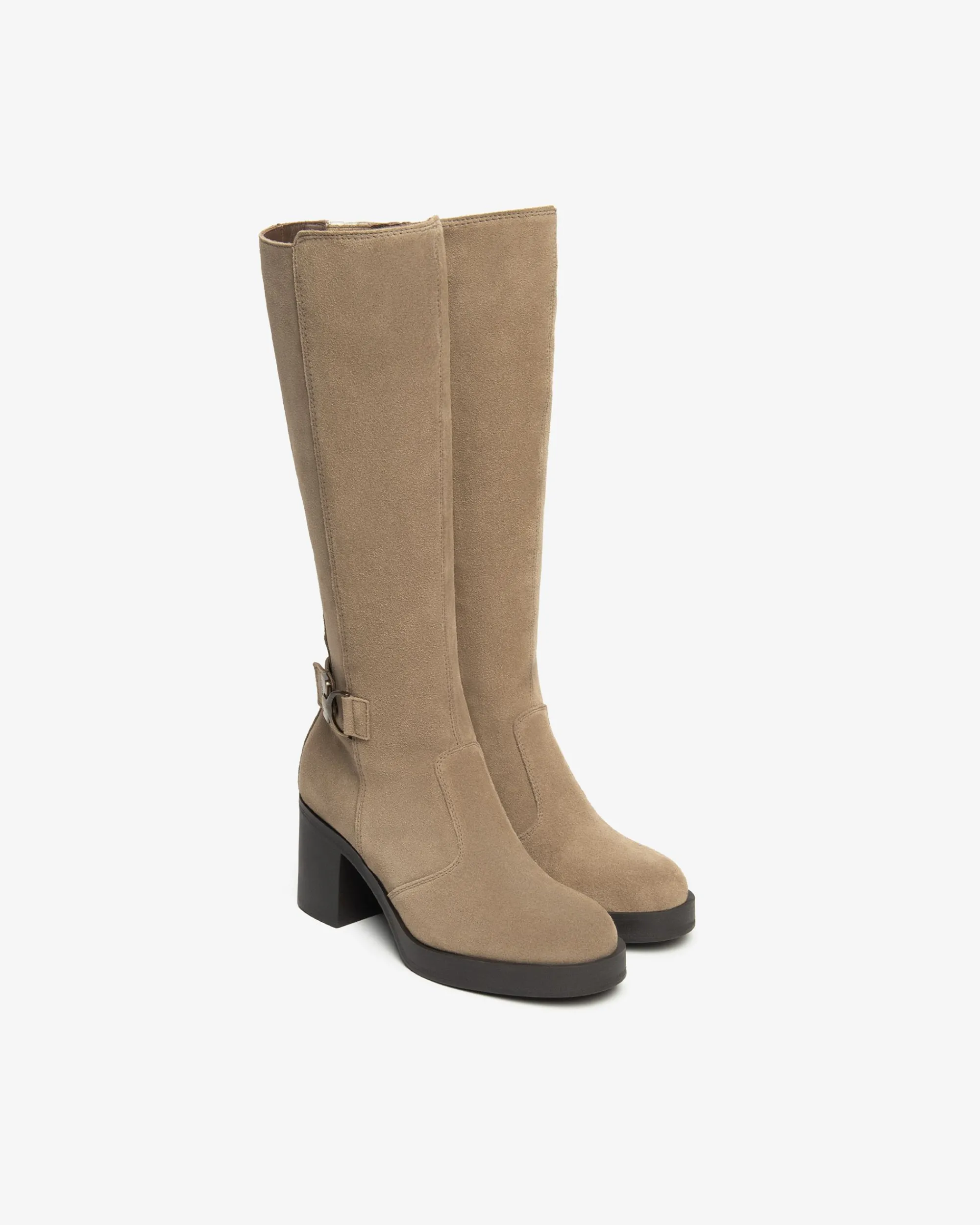 Nero Giardini Stivali Donna in Suede Best
